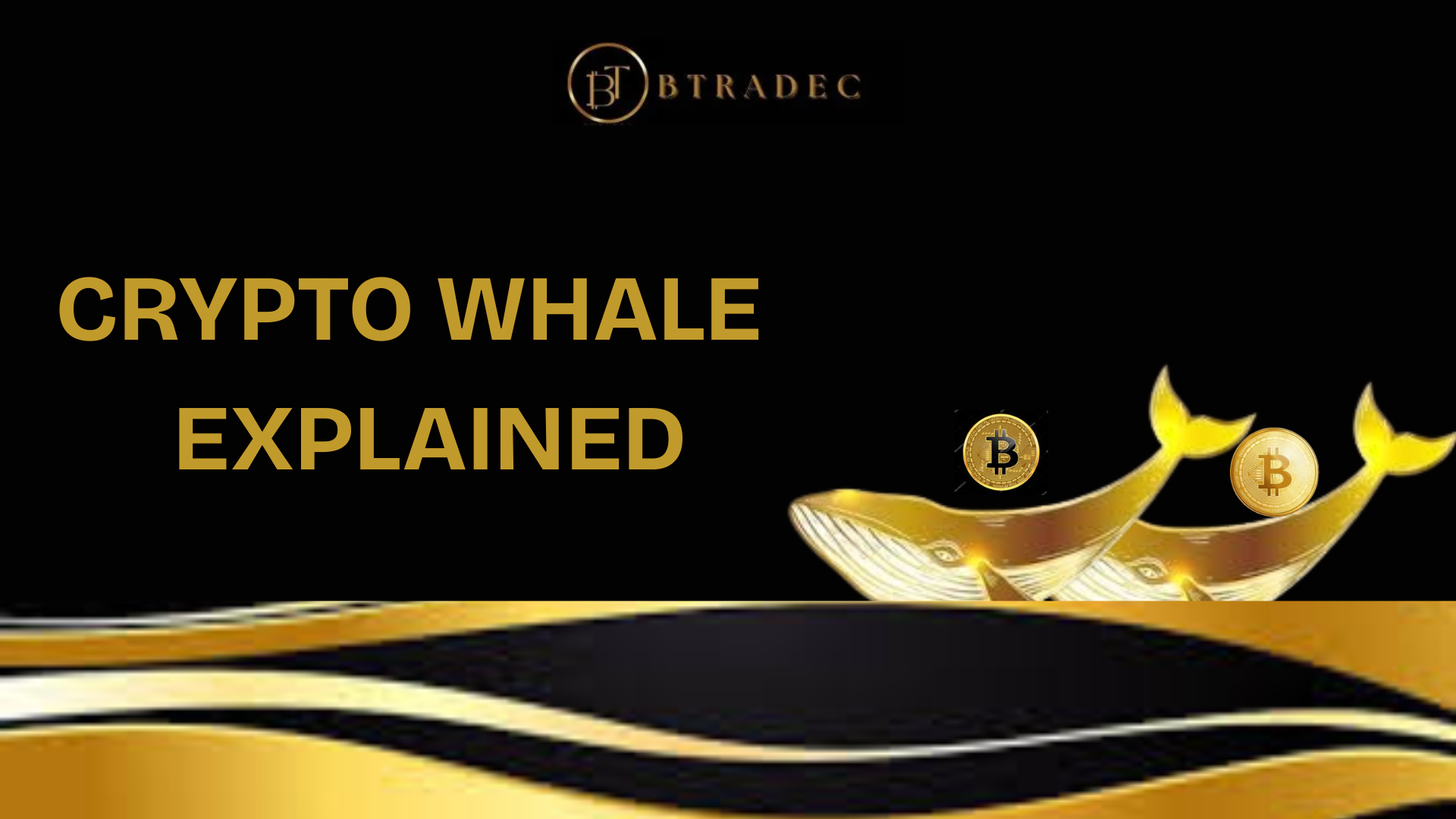 Crypto Whale